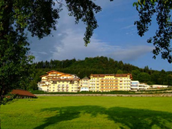 Hotel Winzer