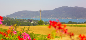 Hotel ALPENBLICK mit direktem Seeblick