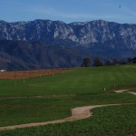 Golf Attersee