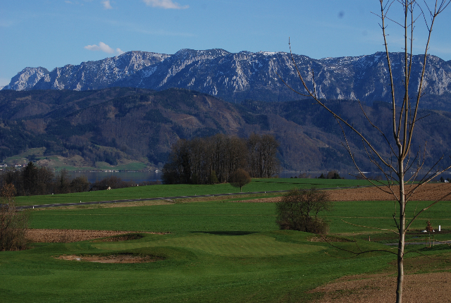Golf Attersee 4